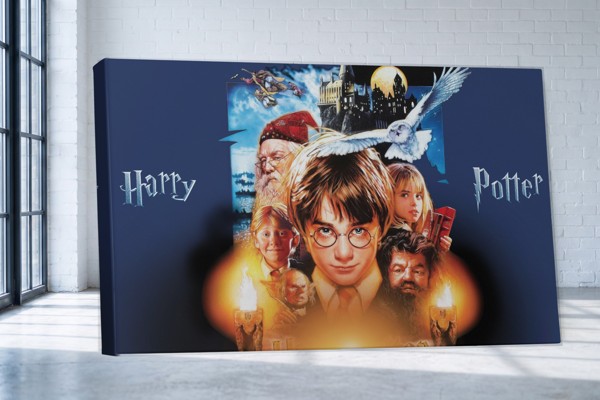 Young Wizard in Round Glasses Canvas Print - on the wall in a room interior