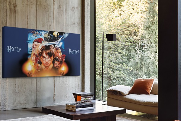 Young Wizard in Round Glasses Canvas Print - on the wall in a room interior