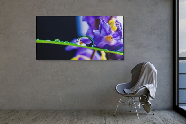 Sadevesipisarat kukankukilla Canvas Print - seinällä huoneessa