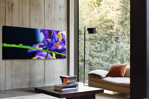Sadevesipisarat kukankukilla Canvas Print - seinällä huoneessa