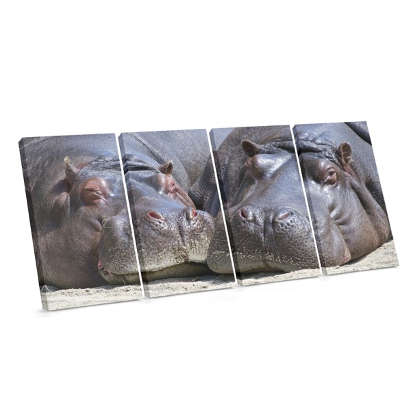 Doi Hipopotami Odihnindu-se - Tablou Canvas