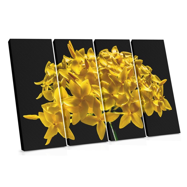 Κίτρινο Floral Collage Canvas Print