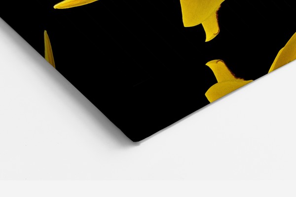 Stampa su Tela Collage Floreale Giallo - alla parete in un interno