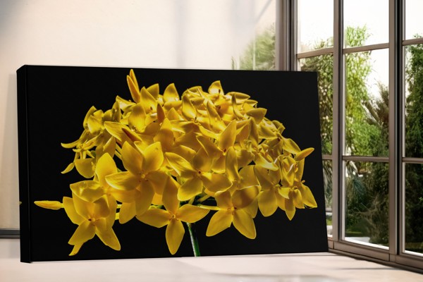 Stampa su Tela Collage Floreale Giallo - alla parete in un interno