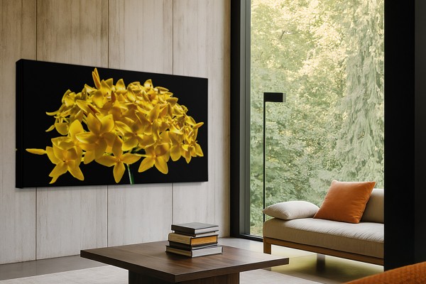 Stampa su Tela Collage Floreale Giallo - alla parete in un interno