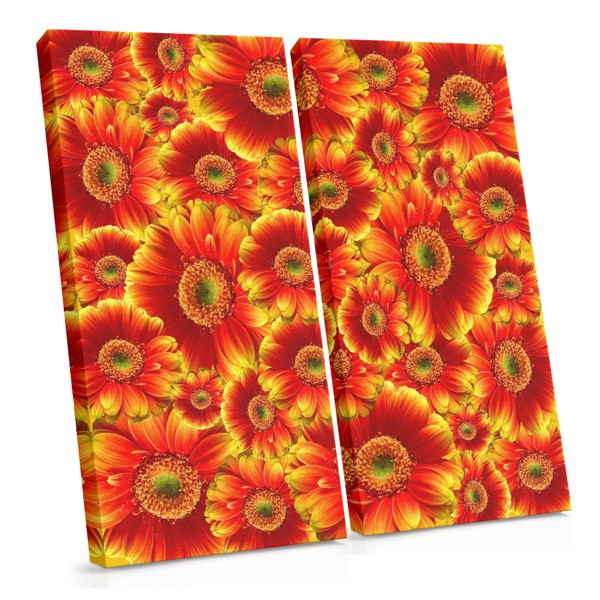 Gerbera Puokštės Koliažo Drobė