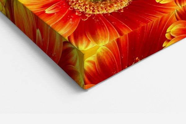 Impression sur Toile Bouquet de Gerberas - au mur dans un intérieur