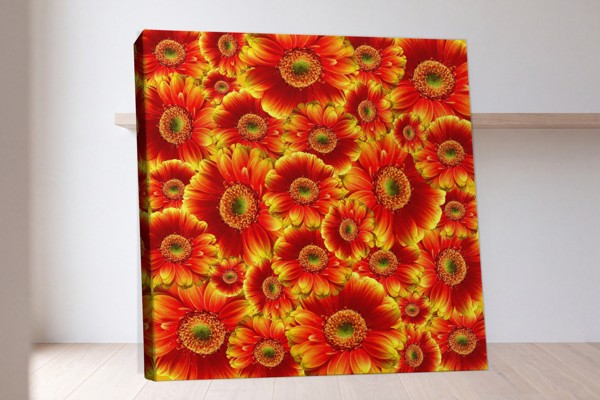 Impression sur Toile Bouquet de Gerberas - au mur dans un intérieur