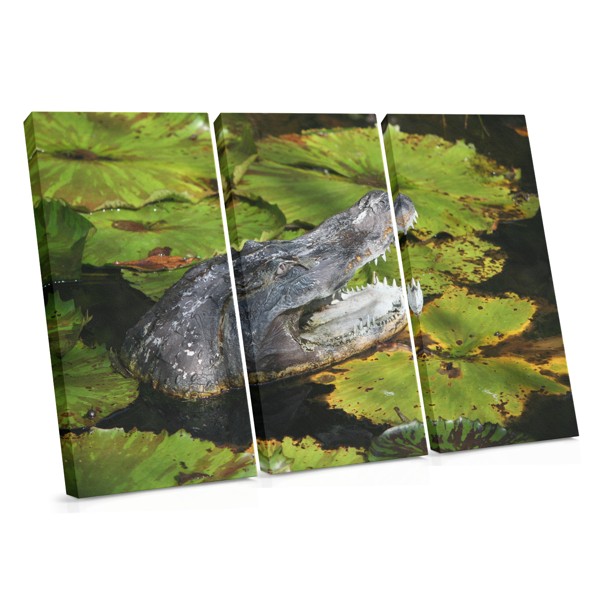 Impressão em Tela de Crocodilo Predador