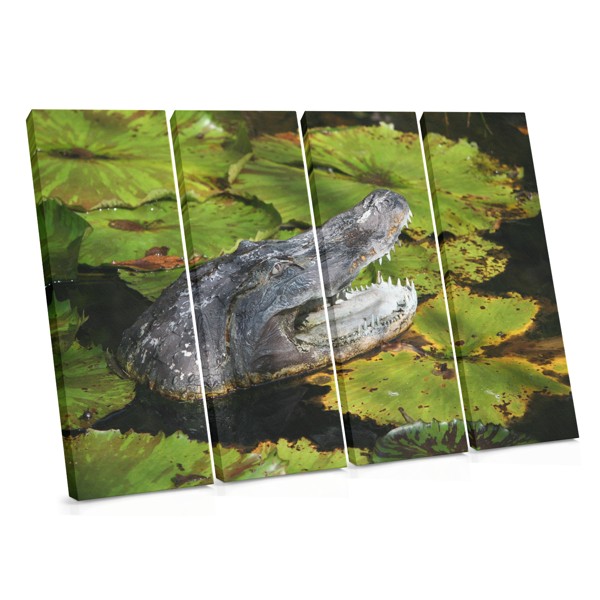 Tablou Canvas Crocodil Prădător