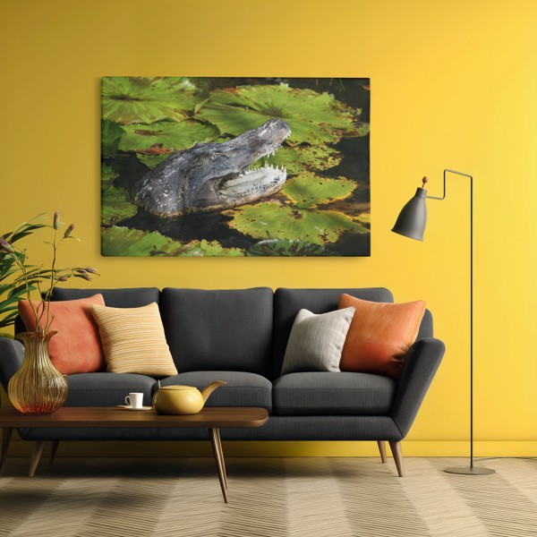 Impression sur Toile Crocodile Prédateur - au mur dans un intérieur