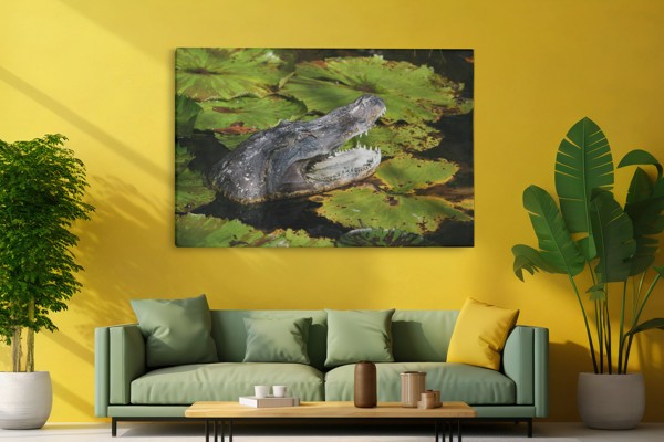 Impression sur Toile Crocodile Prédateur - au mur dans un intérieur
