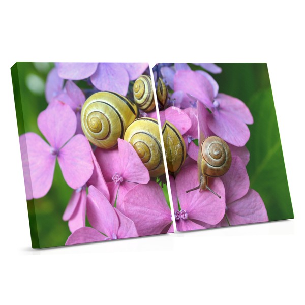 Impressão em Tela Caracol e Flores Selvagens