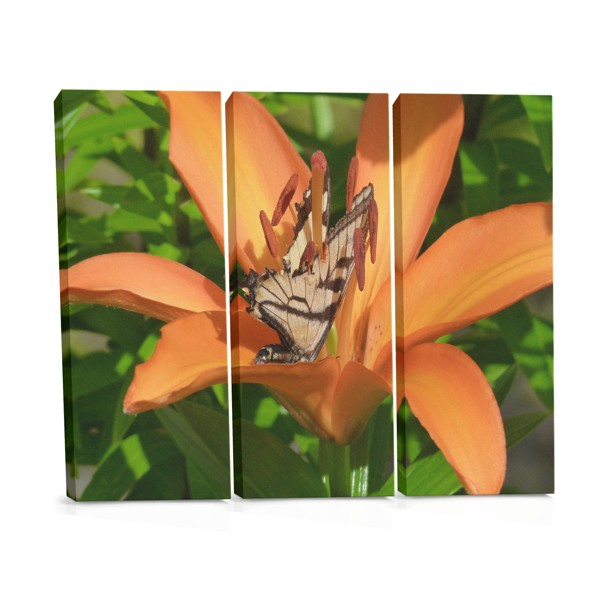 Butterfly and Wildflowers Canvas Print