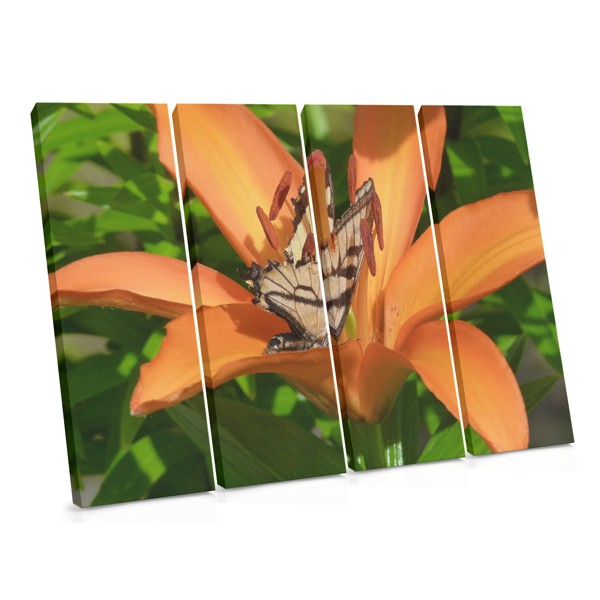 Perhonen ja Villilauantai Canvas Print