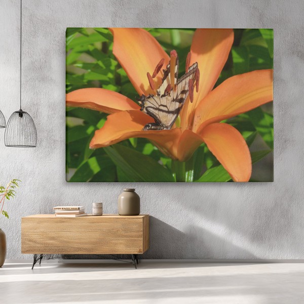 Impression sur toile Papillon et Fleurs Sauvages - au mur dans un intérieur