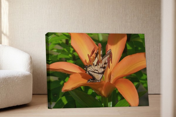 Impression sur toile Papillon et Fleurs Sauvages - au mur dans un intérieur