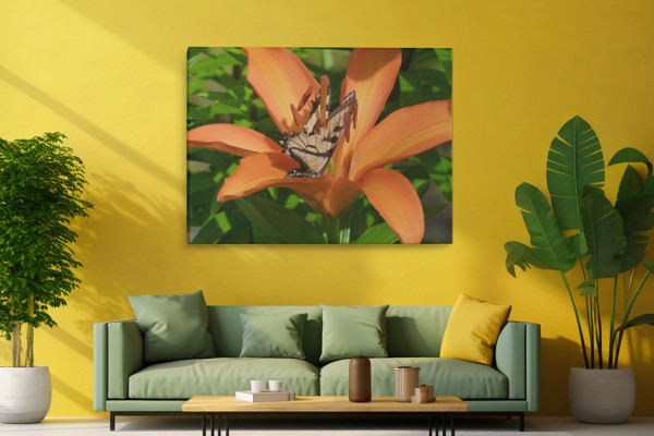 Impression sur toile Papillon et Fleurs Sauvages - au mur dans un intérieur