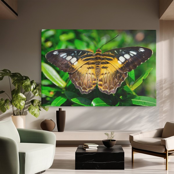 Tauriņš Lidojumā Audekla Prints - uz sienas telpā