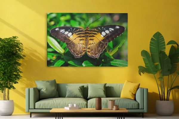 Tauriņš Lidojumā Audekla Prints - uz sienas telpā