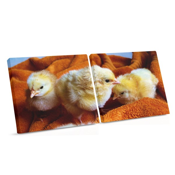 Putnu mazulis olu čaulā - audekla prints