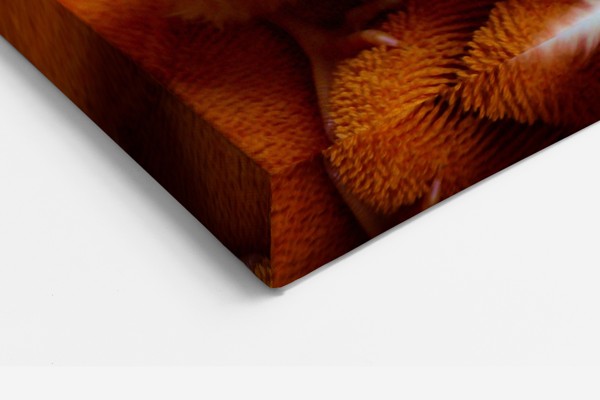 Kanariini munal Canvas Print - seinal toas