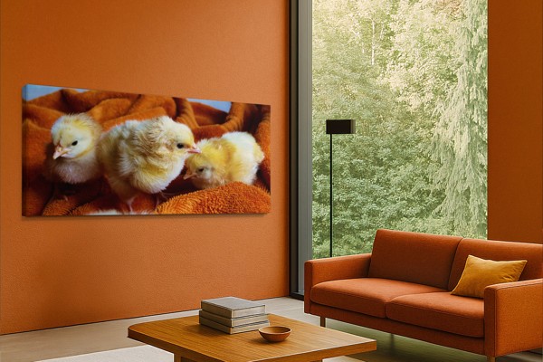 Kanariini munal Canvas Print - seinal toas