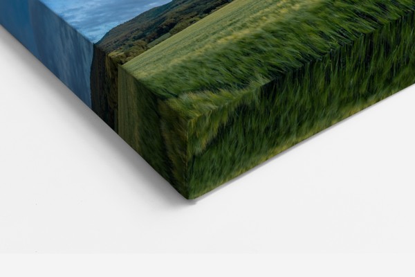 Green Fields at Sunrise Canvas Print - on the wall in a room interior