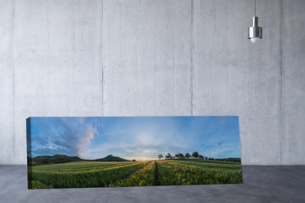 Green Fields at Sunrise Canvas Print - on the wall in a room interior