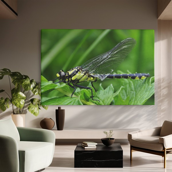 Impression sur Toile Libellule au-dessus de l'Eau - au mur dans un intérieur
