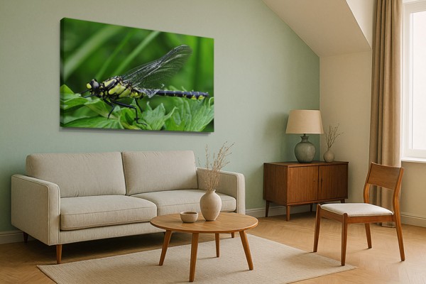 Impression sur Toile Libellule au-dessus de l'Eau - au mur dans un intérieur