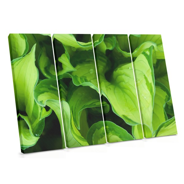 Abstração de Folhas Verdes - Impressão em Tela Abstrata de Folhas Verdes