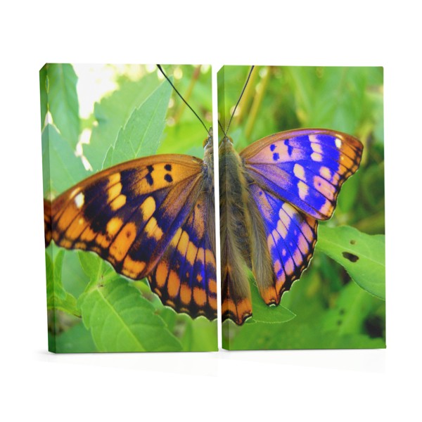 Tauriņš uz Zieda Audekla Prints