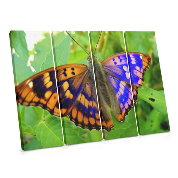 Tablou Canvas Fluture pe Floare