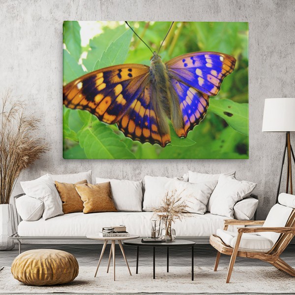 Butterfly on Flower Canvas Print - on the wall in a room interior