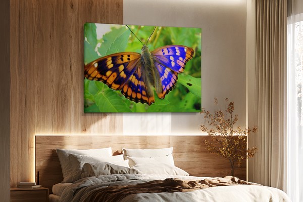 Butterfly on Flower Canvas Print - on the wall in a room interior