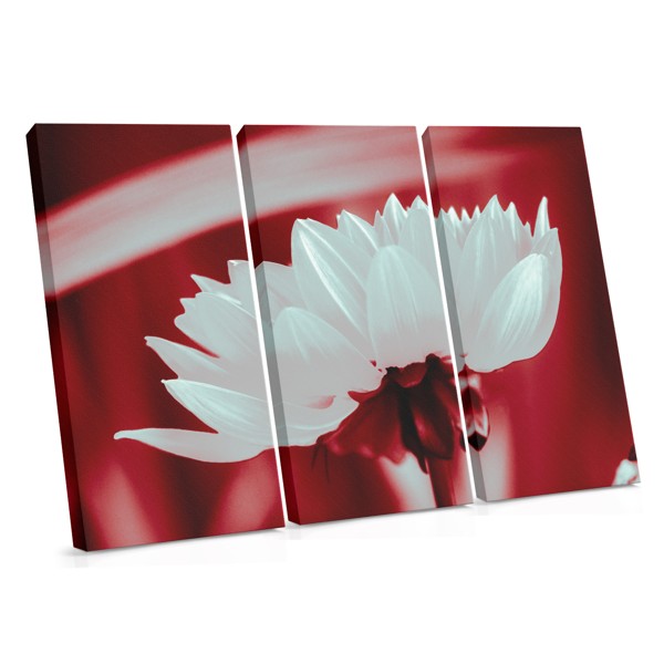 Impression sur Toile Champ de Coquelicots Rouges