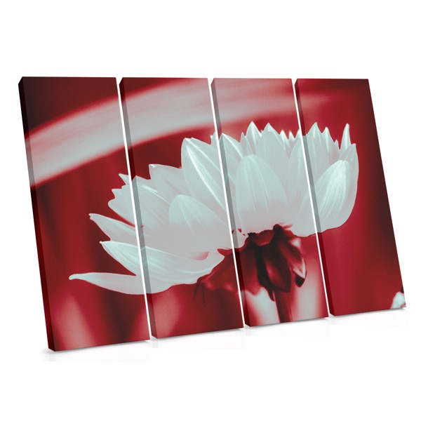 Impression sur Toile Champ de Coquelicots Rouges