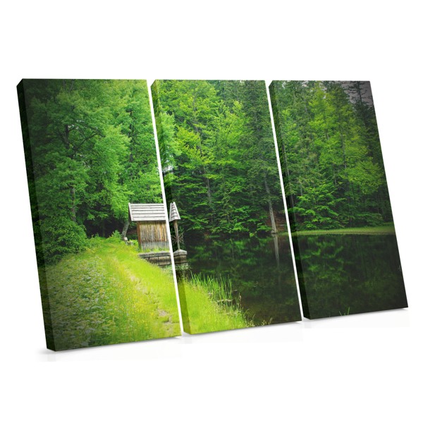 Cabin in the Woods Canvas Print