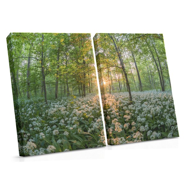 Impressão em Tela Prado de Flores Silvestres Iluminado