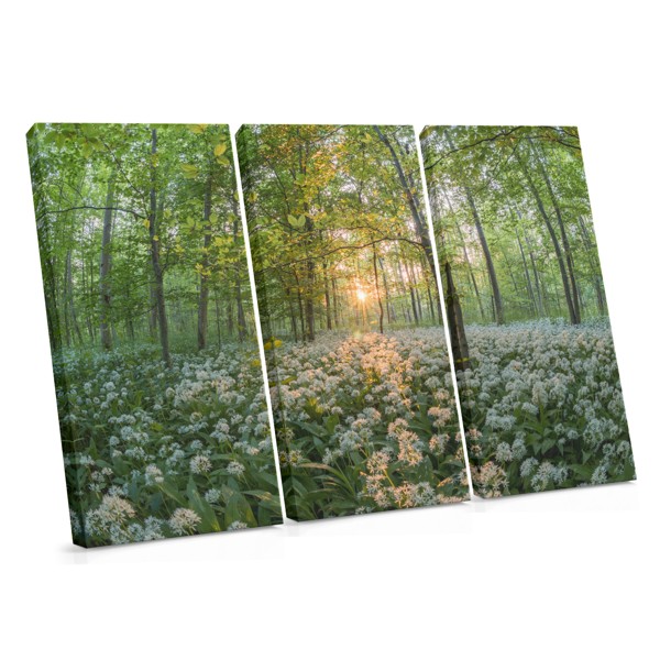 Sunlit Wildflower Meadow Canvas Print