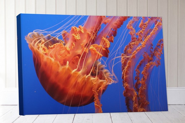 Taucher und Qualle Unterwasser-Leinwanddruck - an der Wand in einem Raum