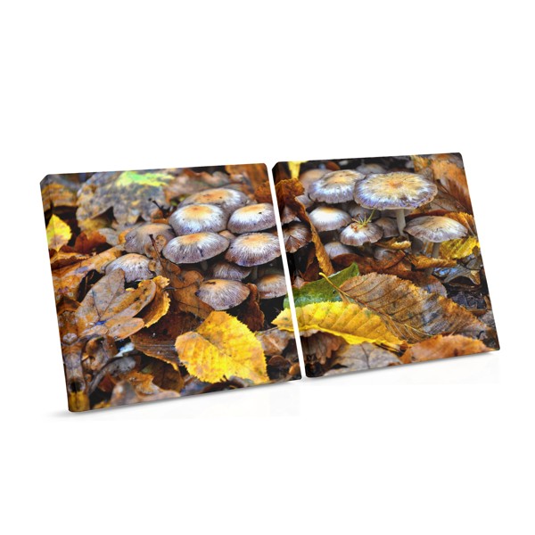 Rudens miško grybai - drobės spausdinys