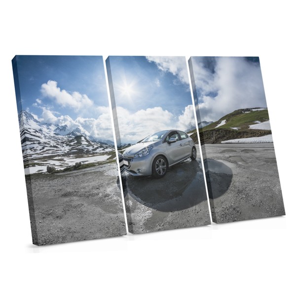 Steel Grace Vintage Car Canvas Print