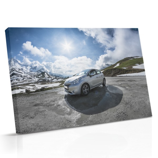 Steel Grace Vintage Car Canvas Print
