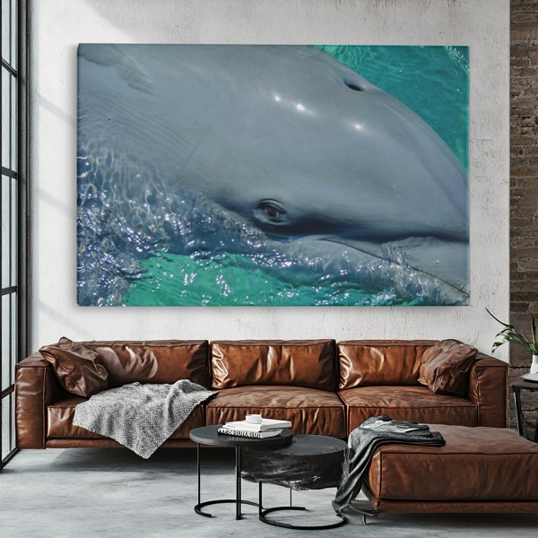 Tablou Canvas Delfin Subacvatic - pe perete într-un interior