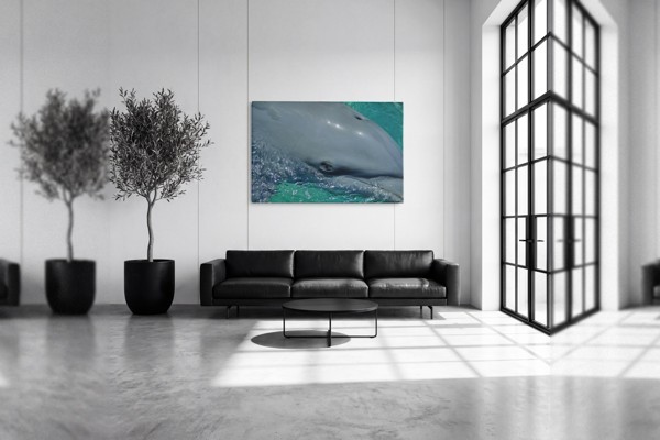 Tablou Canvas Delfin Subacvatic - pe perete într-un interior