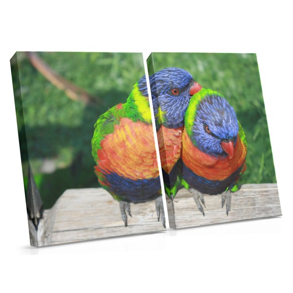 Kleurrijke Papegaai op Tak Canvas Print