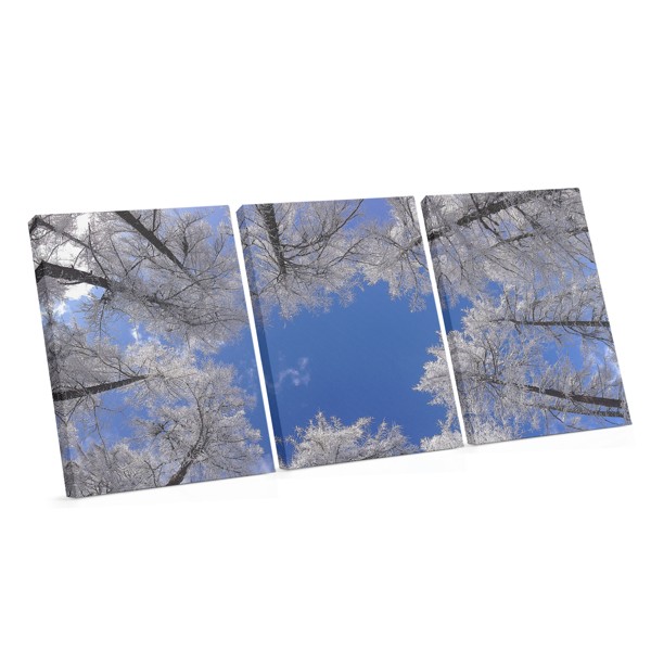 Stampa su Tela Baldacchino Forestale con Luce Solare