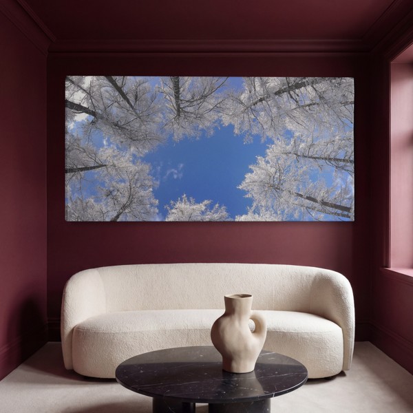 Tablou Canvas Coroană de Pădure cu Lumină Solară - pe perete într-un interior